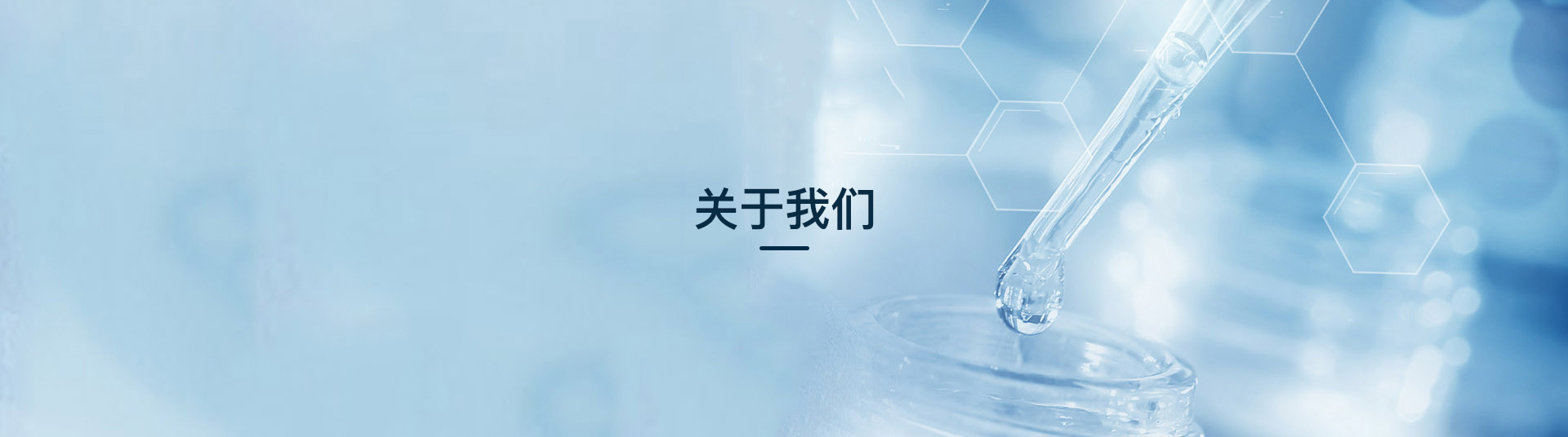 pc端公司簡(jiǎn)介banner